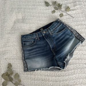 Urban Outfitters BDG Girlfriend High Rise Jean Shorts